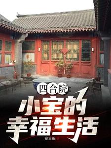 四合院:小宝的幸福生活